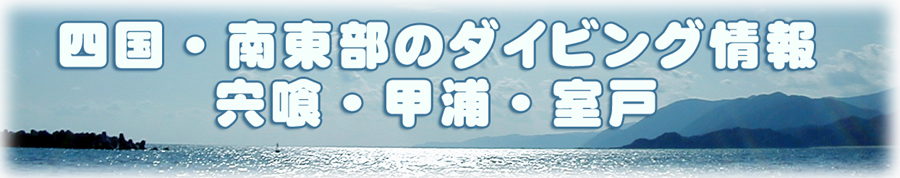 四国・南東部のダイビング情報 -宍喰・甲浦・室戸のダイビングスポットやダイビングサービスなどを紹介-